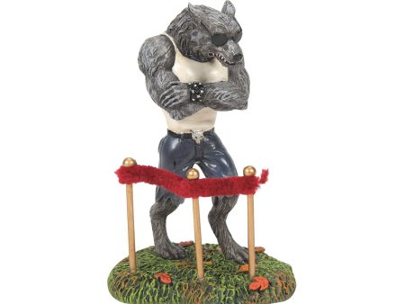 Silverback Bouncer Online Sale