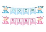 Baby Shower Theme Customized  Hanging Hot on Sale