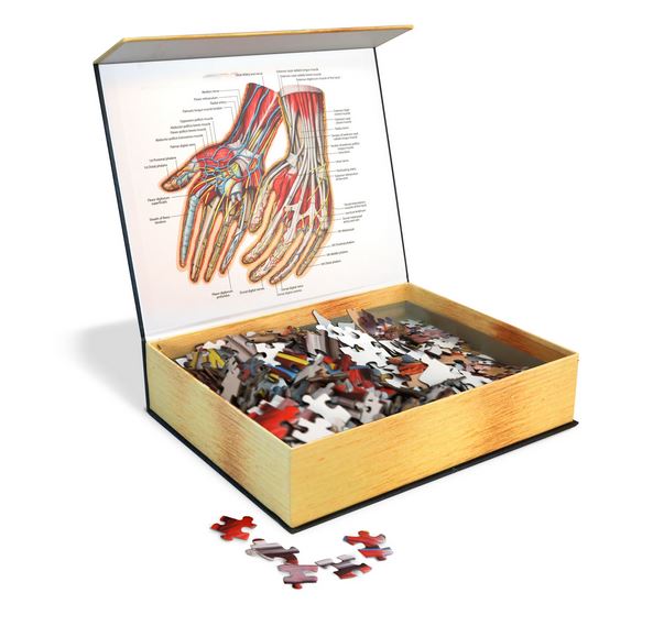 Puzzle - Genius Games - Dr Livingston: Human Hands (512 Pieces) Discount