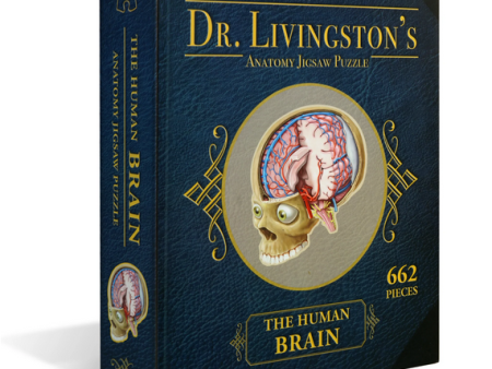 Puzzle - Genius Games - Dr Livingston: Human Brain (662 Pieces) For Sale