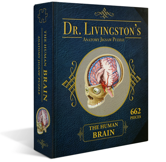 Puzzle - Genius Games - Dr Livingston: Human Brain (662 Pieces) For Sale