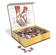 Puzzle - Genius Games - Dr Livingston: Human Feet (764 Pieces) Discount