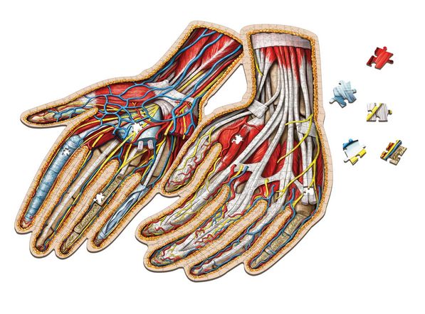 Puzzle - Genius Games - Dr Livingston: Human Hands (512 Pieces) Discount