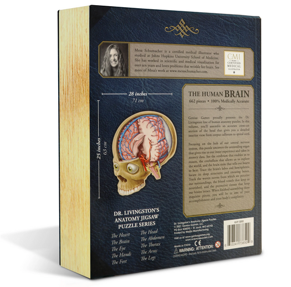 Puzzle - Genius Games - Dr Livingston: Human Brain (662 Pieces) For Sale