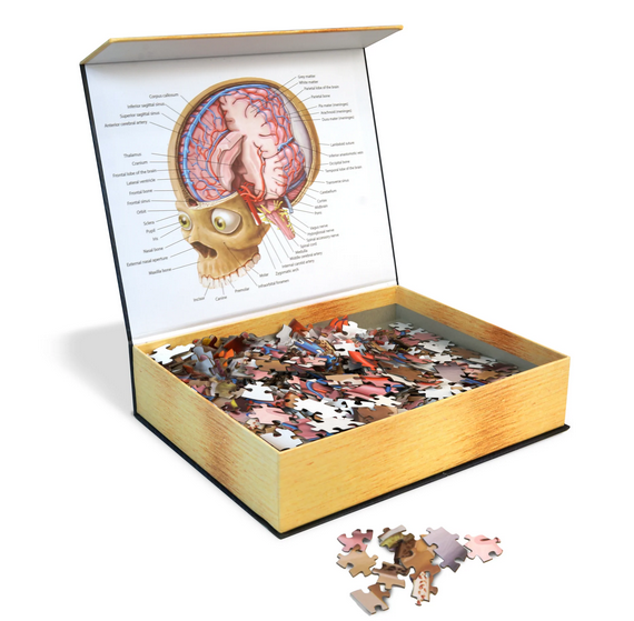 Puzzle - Genius Games - Dr Livingston: Human Brain (662 Pieces) For Sale