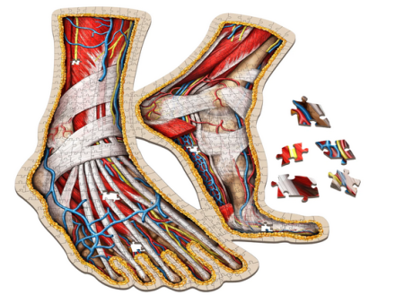 Puzzle - Genius Games - Dr Livingston: Human Feet (764 Pieces) Discount