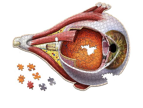 Puzzle - Genius Games - Dr Livingston: Human Eye (544 Pieces) For Cheap