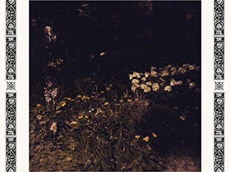 DAVACHI,SARAH - PALE BLOOM (CD) Cheap