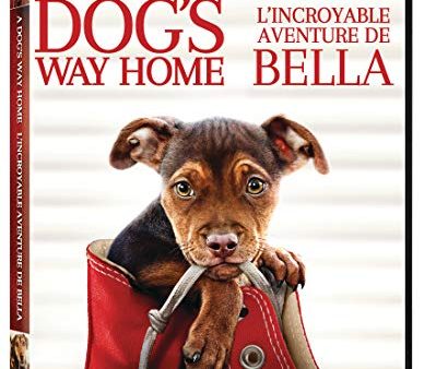 A DOG S WAY HOME (BILINGUAL) Cheap